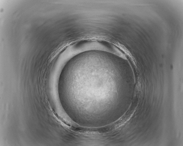 X0000087550577200705041330