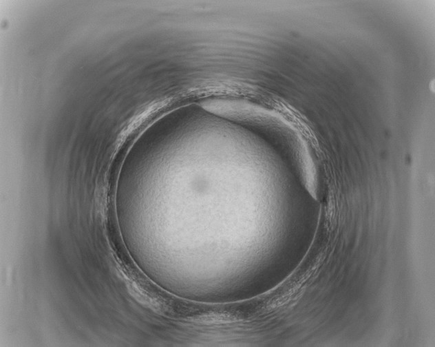 X0000087550578200705041330