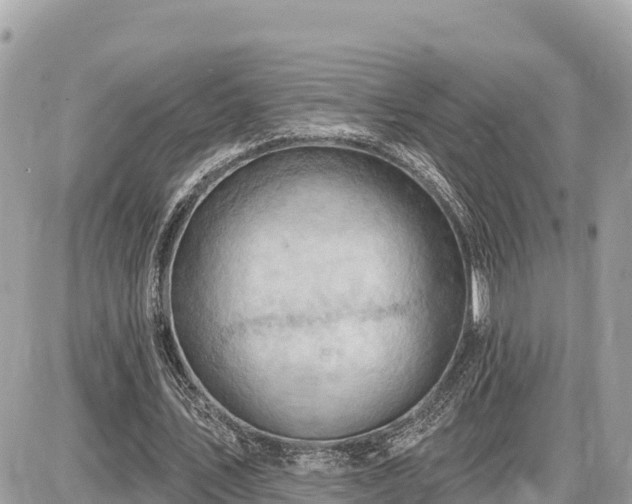 X0000087550579200705041330