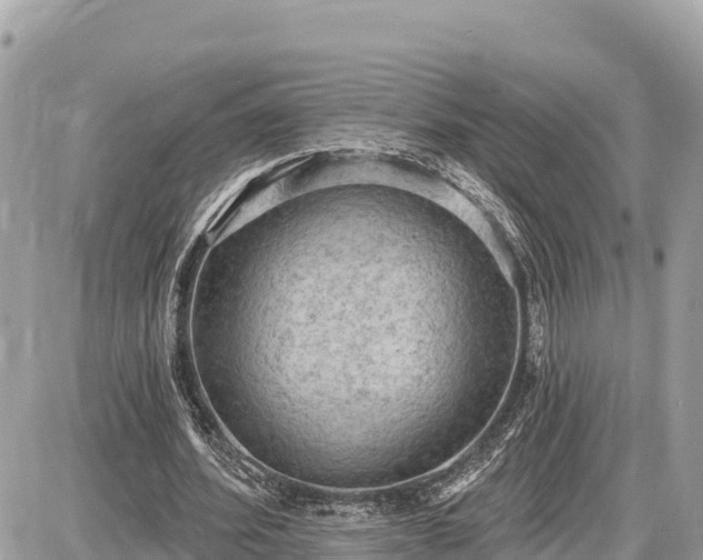 X0000087550580200705041330