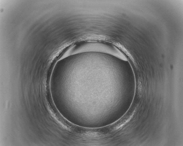 X0000087550581200705041330