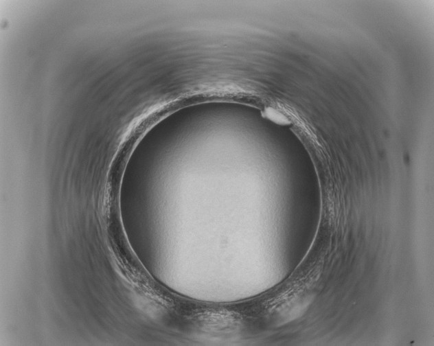 X0000087550583200705041330