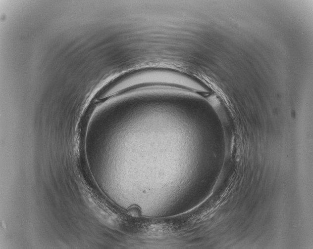 X0000087550584200705041330