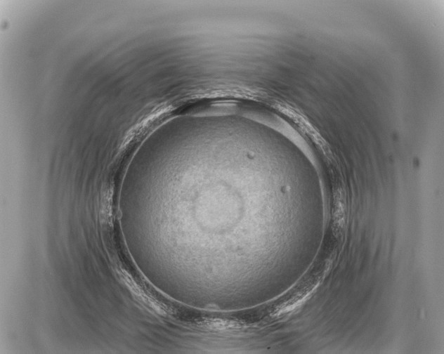 X0000087550585200705041330