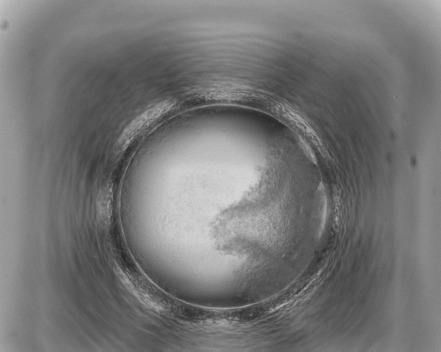 X0000087550586200705041330