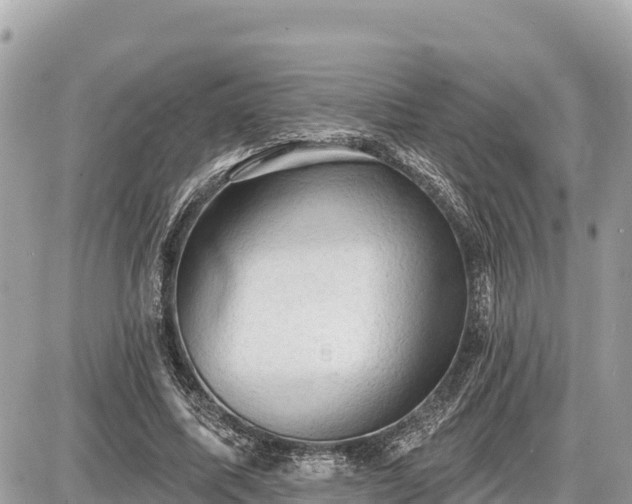 X0000087550587200705041330