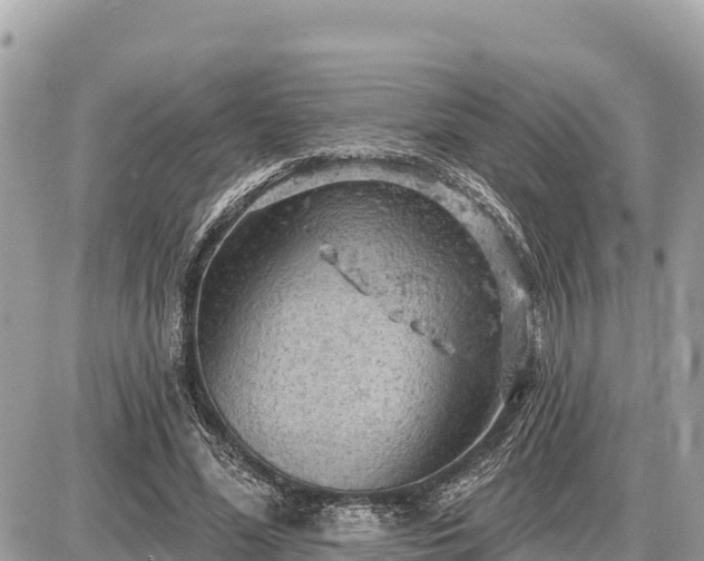 X0000087550588200705041330