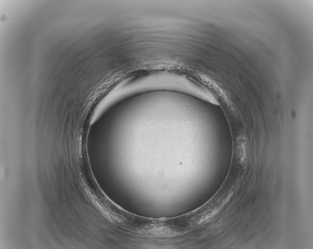 X0000087550589200705041330