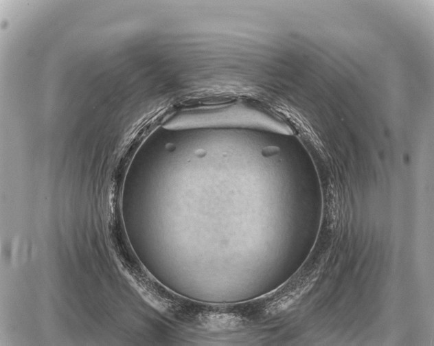 X0000087550590200705041330