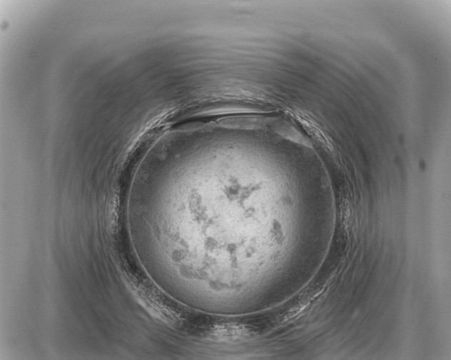 X0000087550591200705041330