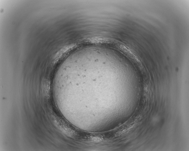 X0000087550592200705041330