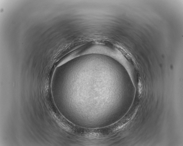 X0000087550593200705041330