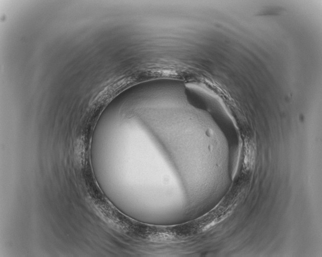 X0000087550594200705041330