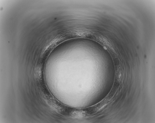 X0000087550595200705041330