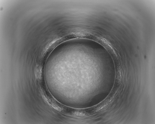 X0000087550596200705041330