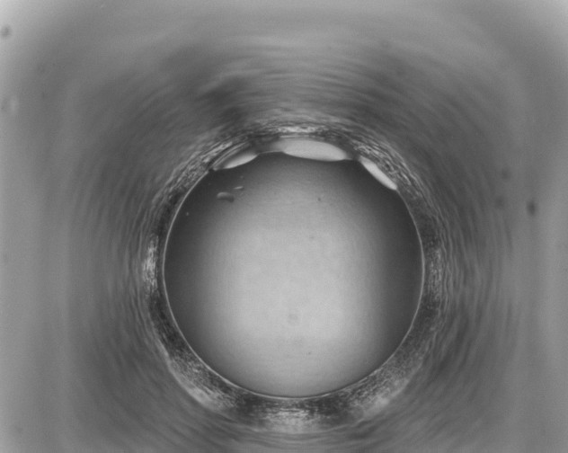 X0000087550598200705041330