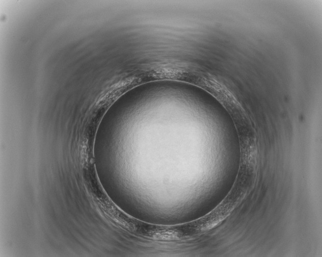 X0000087550599200705041330