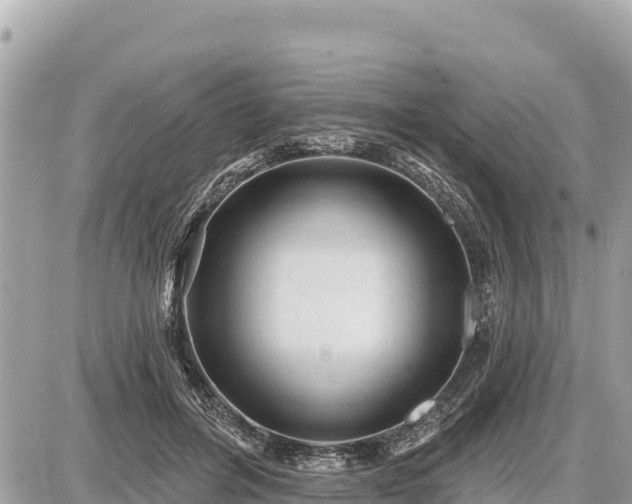 X0000087550600200705041330