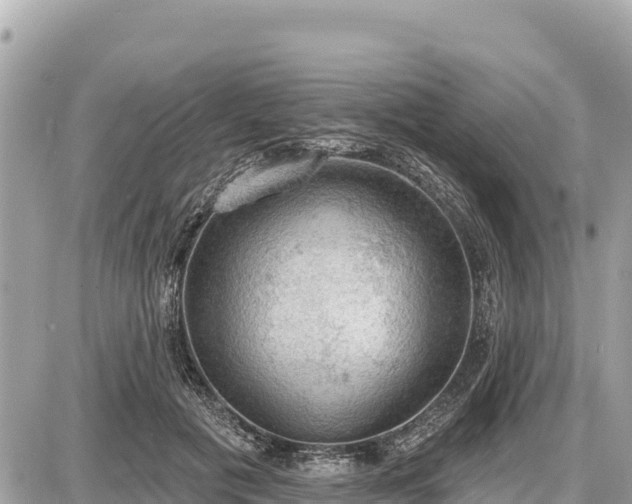 X0000087550601200705041330