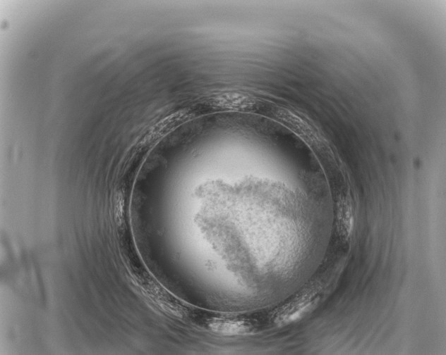 X0000087550602200705041330