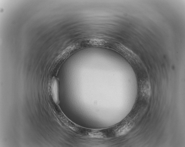 X0000087550603200705041330