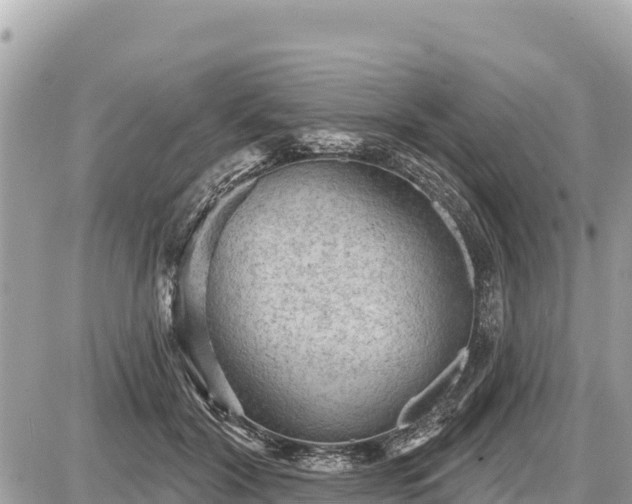 X0000087550604200705041330