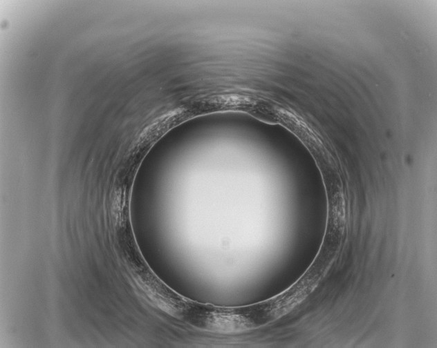 X0000087550605200705041330