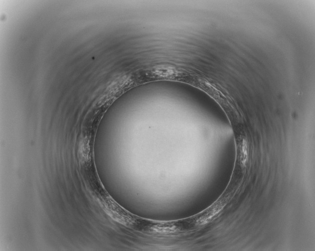 X0000087550606200705041330