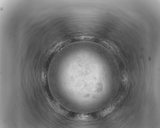 X0000087550607200705041330