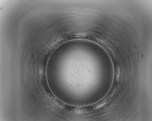 X0000087550608200705041330