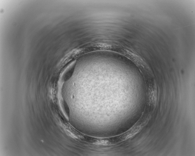 X0000087550609200705041330