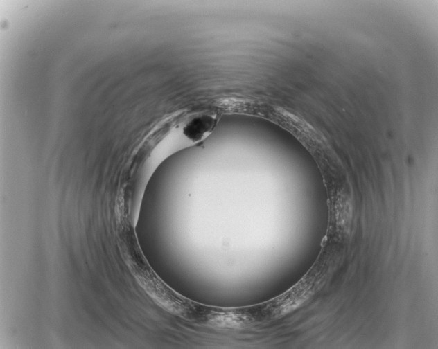 X0000087550611200705041329