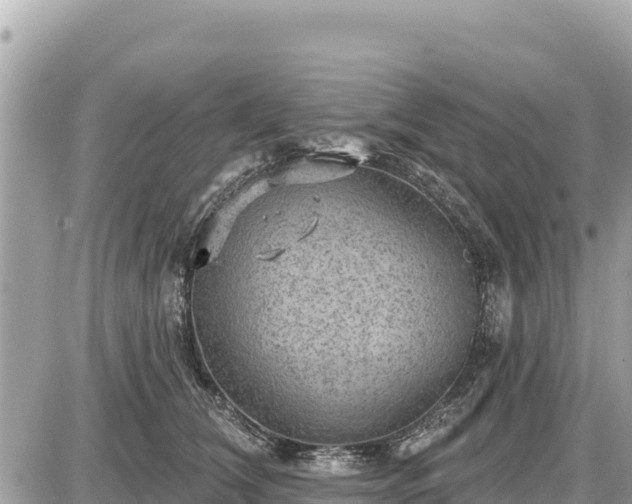 X0000087550612200705041329