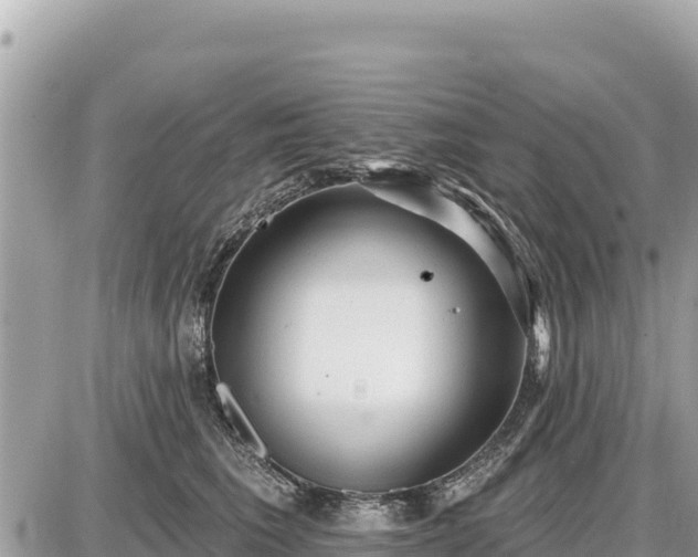 X0000087550613200705041329