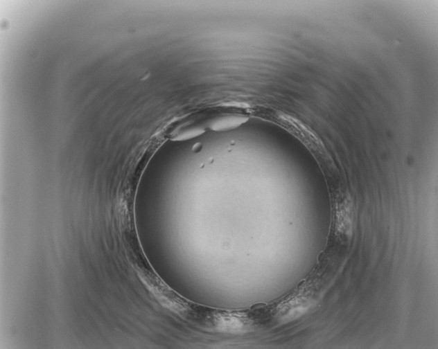 X0000087550618200705041329