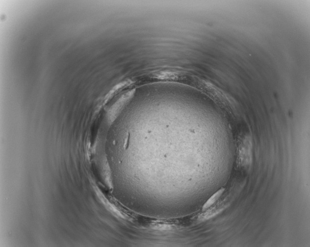 X0000087550620200705041329