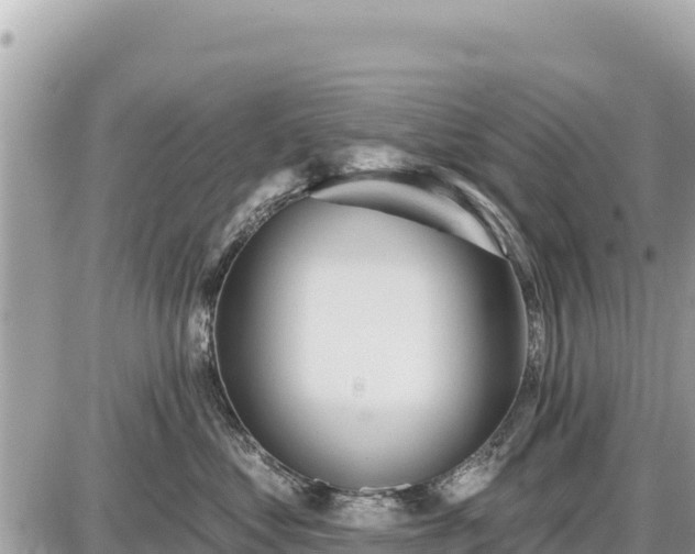 X0000087550621200705041329