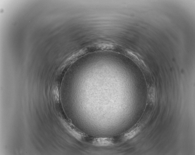 X0000087550622200705041329