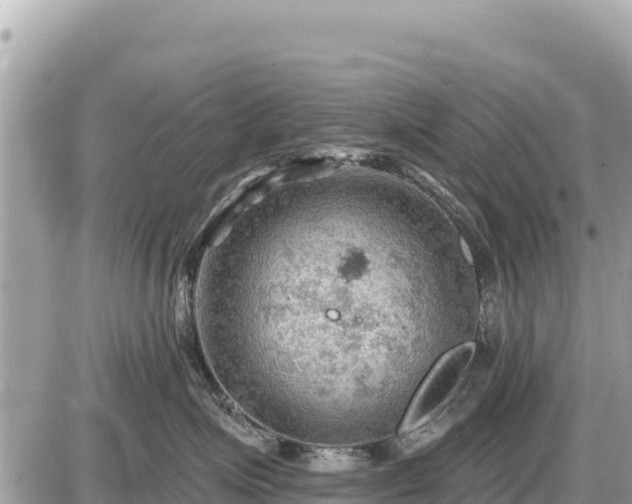 X0000087550623200705041329