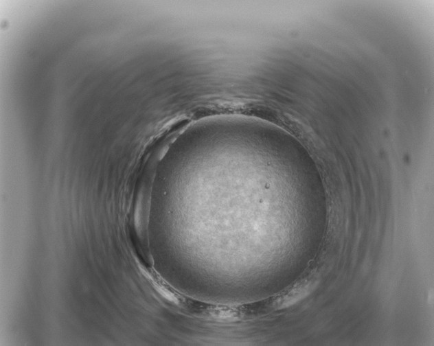 X0000087550624200705041329