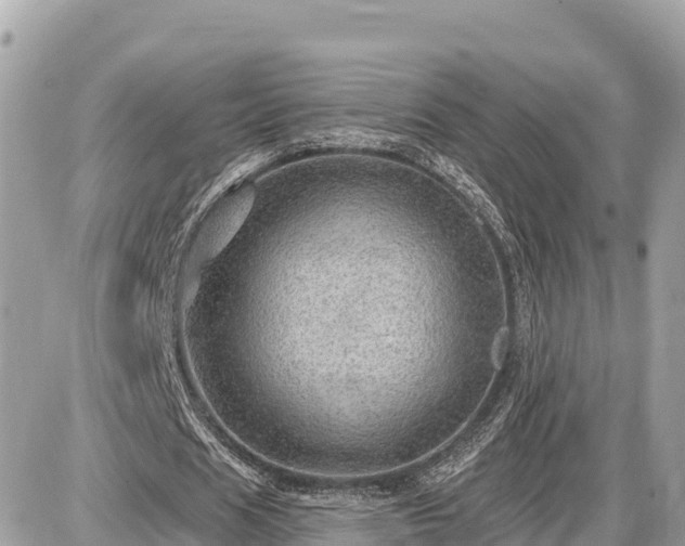 X0000087550625200705041328