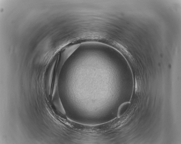 X0000087550627200705041329