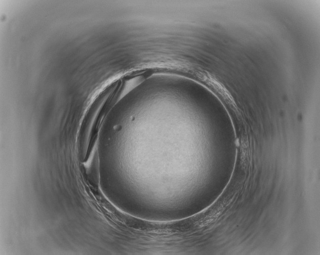 X0000087550628200705041329