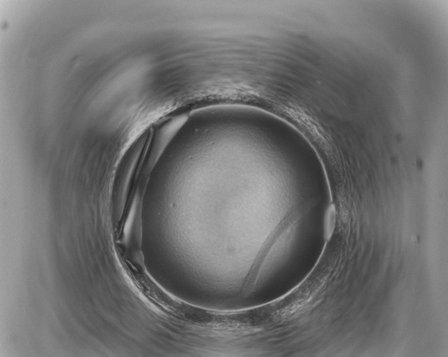 X0000087550630200705041329