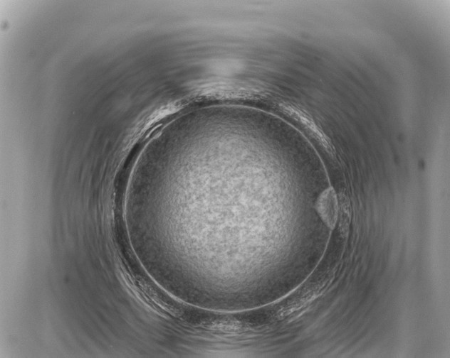 X0000087550631200705041329