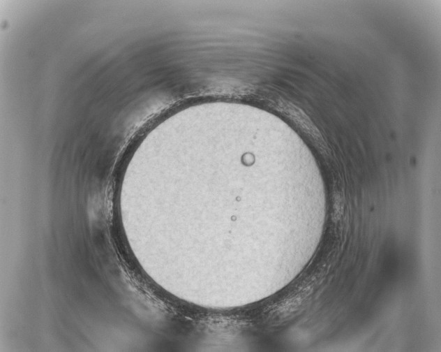 X0000087550632200705041329