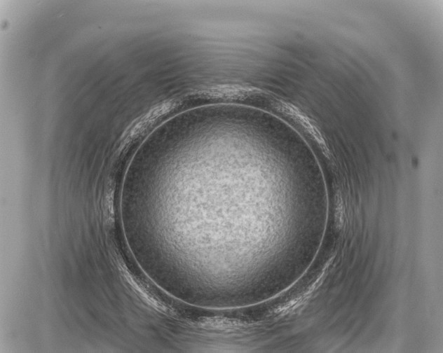 X0000087550633200705041329