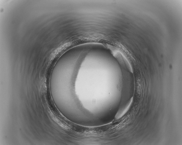 X0000087550634200705041329