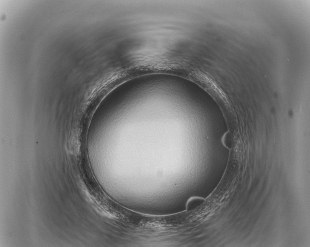 X0000087550635200705041329