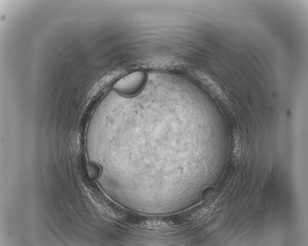 X0000087550636200705041329